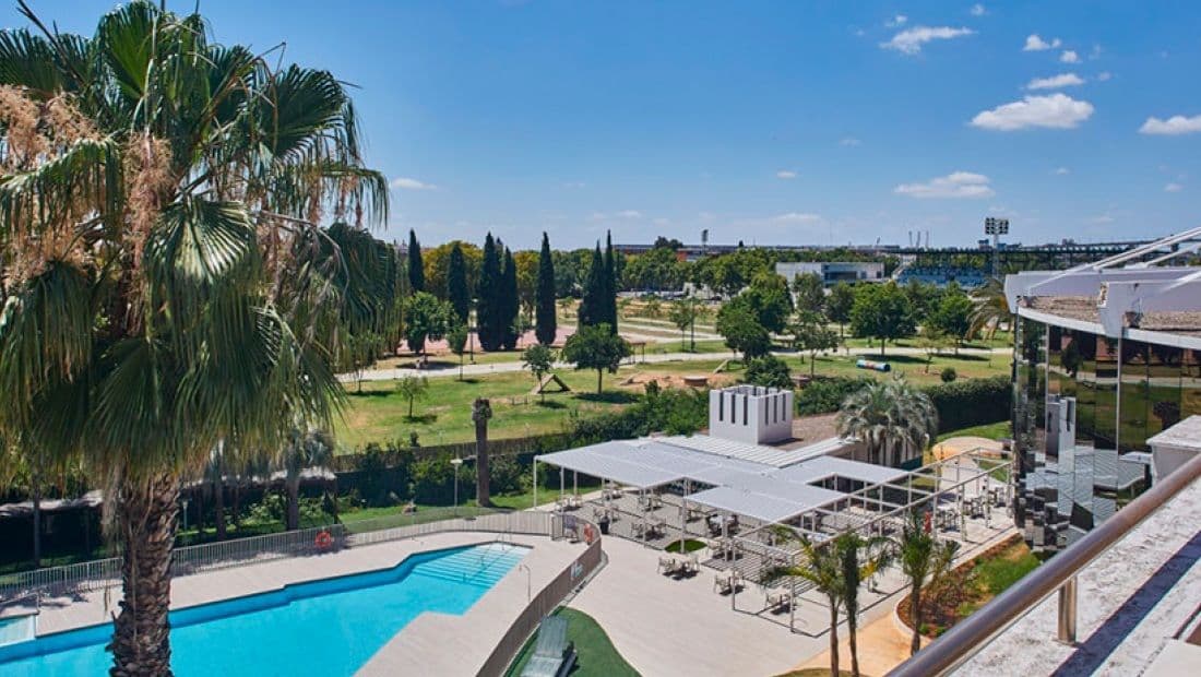 Swimming pool with lounge chairs and palm trees in Sevilla.
